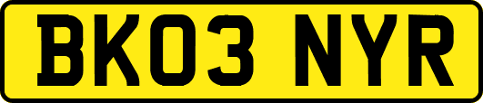 BK03NYR