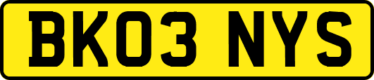BK03NYS