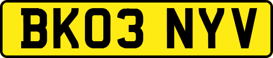 BK03NYV