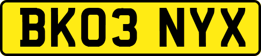 BK03NYX