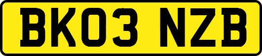 BK03NZB