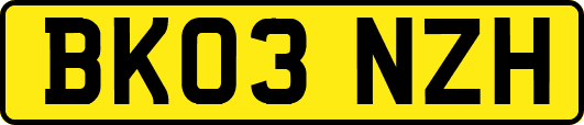 BK03NZH