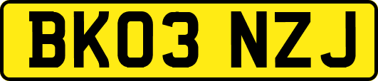 BK03NZJ