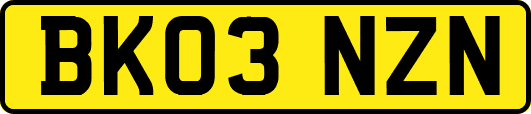 BK03NZN