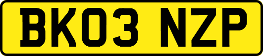 BK03NZP