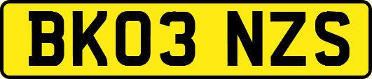 BK03NZS