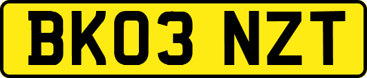 BK03NZT