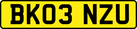 BK03NZU