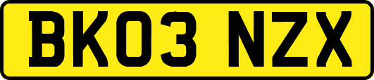 BK03NZX