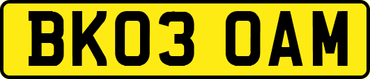 BK03OAM