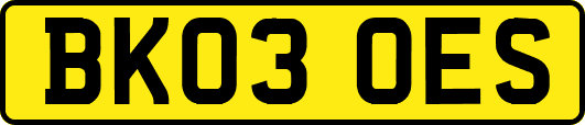 BK03OES