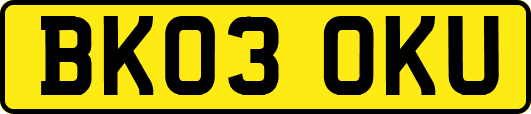 BK03OKU
