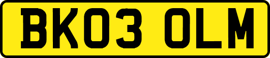 BK03OLM
