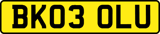 BK03OLU