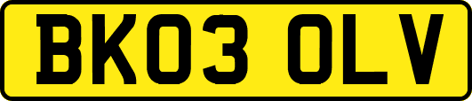 BK03OLV