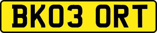 BK03ORT