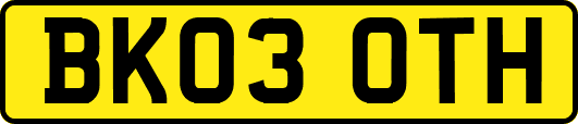 BK03OTH