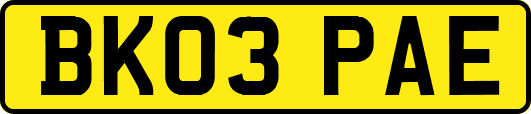 BK03PAE