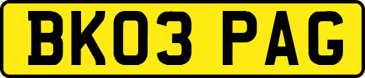 BK03PAG