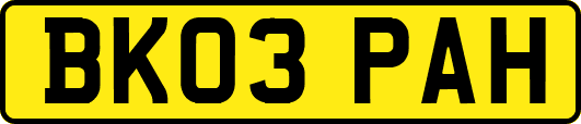 BK03PAH