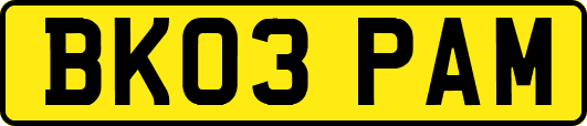 BK03PAM