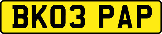 BK03PAP