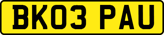 BK03PAU
