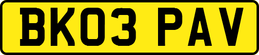 BK03PAV