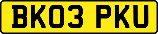 BK03PKU