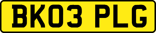 BK03PLG