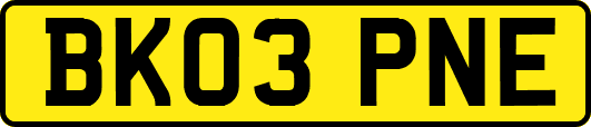 BK03PNE