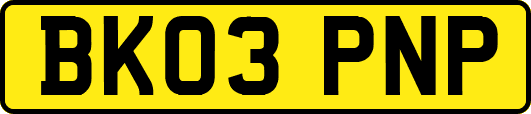 BK03PNP
