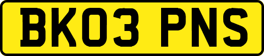 BK03PNS