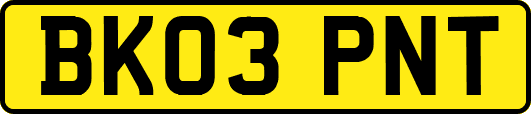 BK03PNT