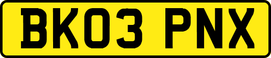 BK03PNX