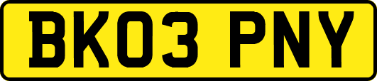 BK03PNY