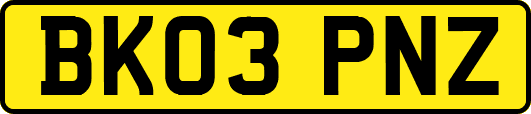 BK03PNZ