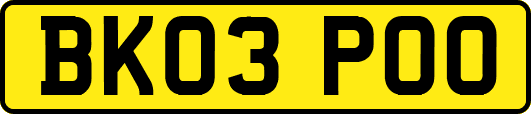 BK03POO