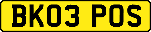 BK03POS
