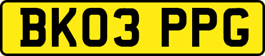 BK03PPG