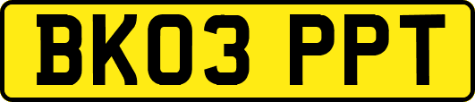 BK03PPT