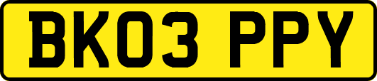 BK03PPY