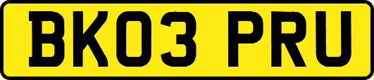 BK03PRU