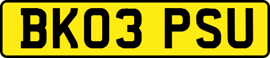 BK03PSU