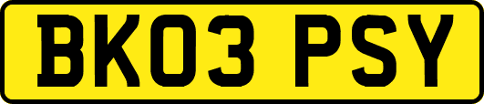 BK03PSY
