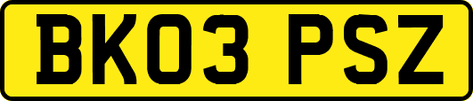 BK03PSZ