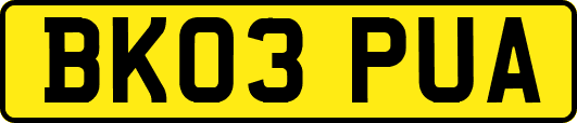 BK03PUA