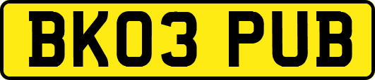 BK03PUB