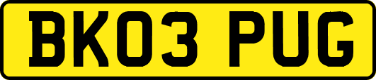 BK03PUG