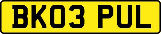 BK03PUL